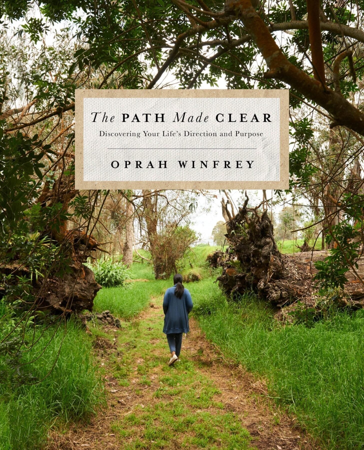the path made clear book cover