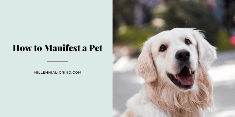How to Manifest a Pet